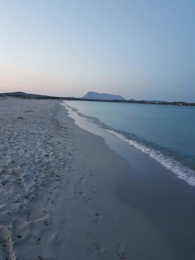 Villa Dettori 산테오도로 외부 사진